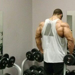 2013 Bodybuilding Images