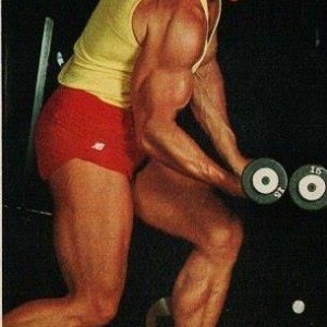 2013 Bodybuilding Images