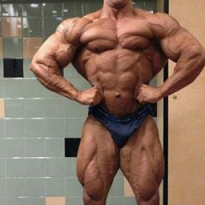 2013 Bodybuilding Images