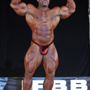 2013 Bodybuilding Images