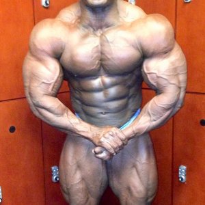 2013 Bodybuilding Images