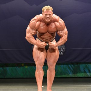 2013 Bodybuilding Images