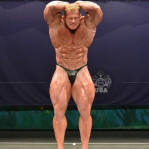 2013 Bodybuilding Images