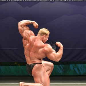 2013 Bodybuilding Images