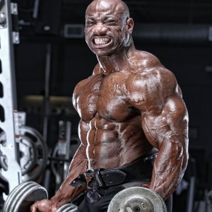 2013 Bodybuilding Images