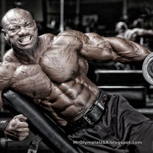 2013 Bodybuilding Images