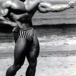 2013 Bodybuilding Images