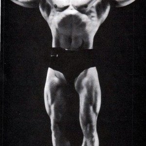 2013 Bodybuilding Images