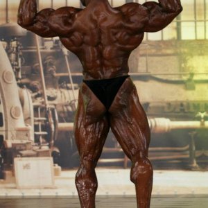 2013 Bodybuilding Images