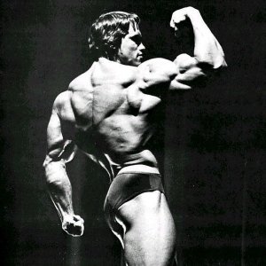 2013 Bodybuilding Images