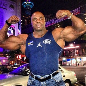 2013 Bodybuilding Images