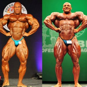 2013 Bodybuilding Images