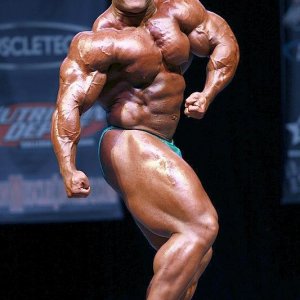 2013 Bodybuilding Images