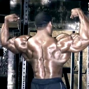 2013 Bodybuilding Images