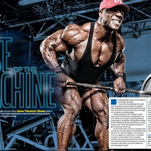 2013 Bodybuilding Images