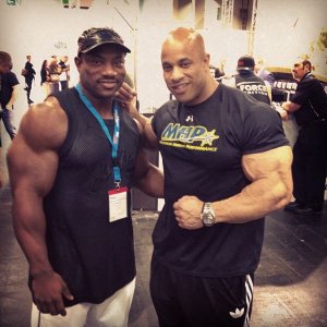 2013 Bodybuilding Images