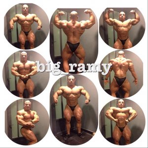 2013 Bodybuilding Images