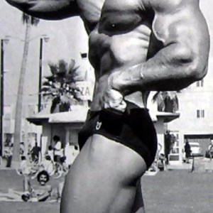 2013 Bodybuilding Images