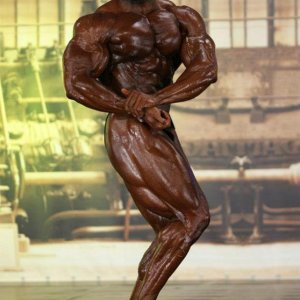 2013 Bodybuilding Images