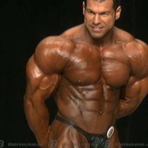 2013 Bodybuilding Images