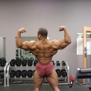 2013 Bodybuilding Images