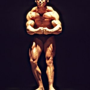 2013 Bodybuilding Images