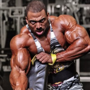 2013 Bodybuilding Images