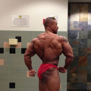 2013 Bodybuilding Images