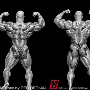 2013 Bodybuilding Images