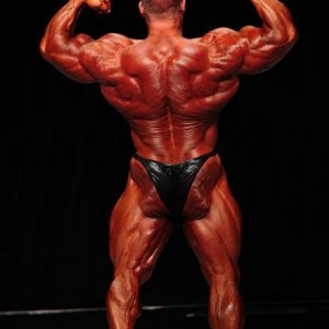 2013 Bodybuilding Images