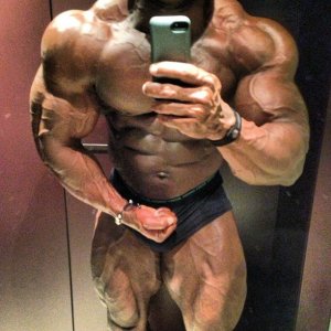 2013 Bodybuilding Images