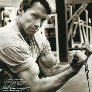 2013 Bodybuilding Images