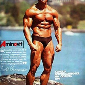 2013 Bodybuilding Images