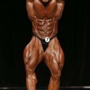 2013 Bodybuilding Images