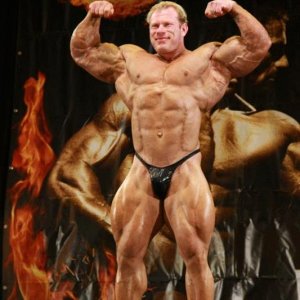 2013 Bodybuilding Images