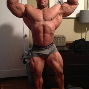 2013 Bodybuilding Images