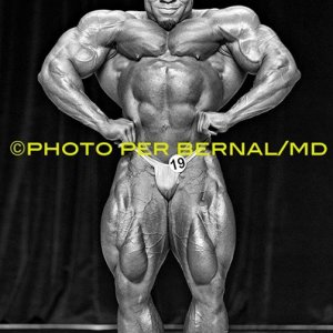 2013 Bodybuilding Images