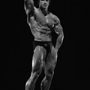 2013 Bodybuilding Images