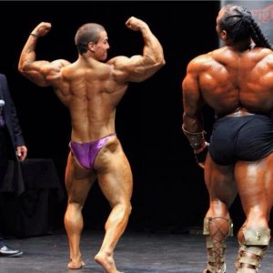 2013 Bodybuilding Images