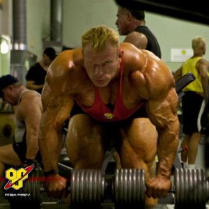 2013 Bodybuilding Images