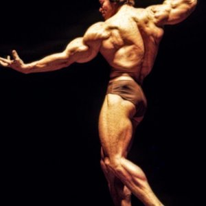 2013 Bodybuilding Images