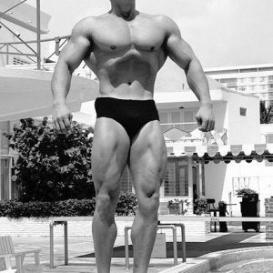 2013 Bodybuilding Images