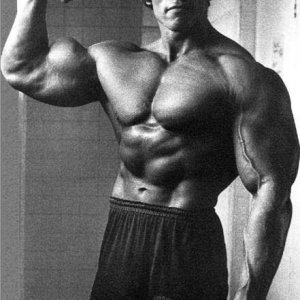 2013 Bodybuilding Images