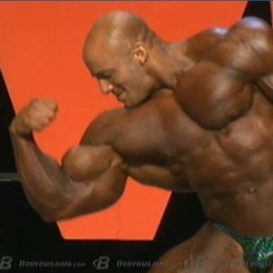 2013 Bodybuilding Images