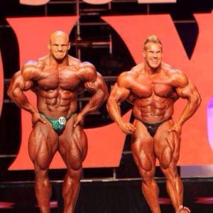 2013 Bodybuilding Images