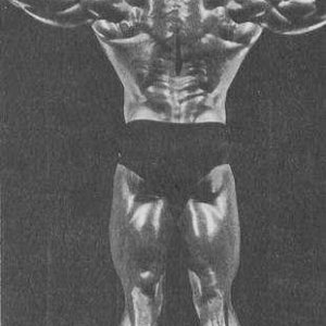 2013 Bodybuilding Images