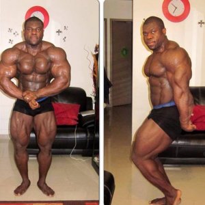 2013 Bodybuilding Images