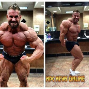 2013 Bodybuilding Images