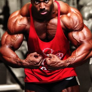 2013 Bodybuilding Images