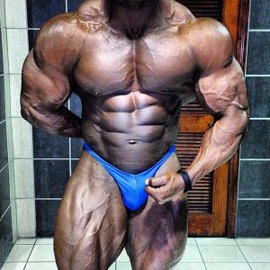 2013 Bodybuilding Images